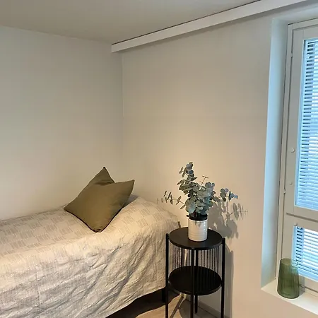 Spacious Loft With Naesijaervi Views Daire *