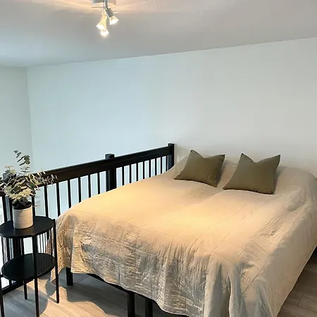 Spacious Loft With Naesijaervi Views