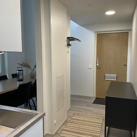 Spacious Loft With Naesijaervi Views