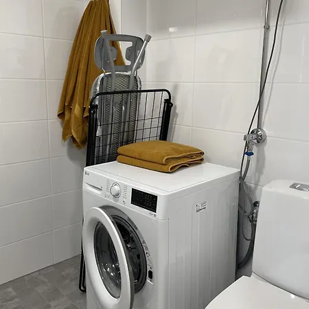 Spacious Loft With Naesijaervi Views