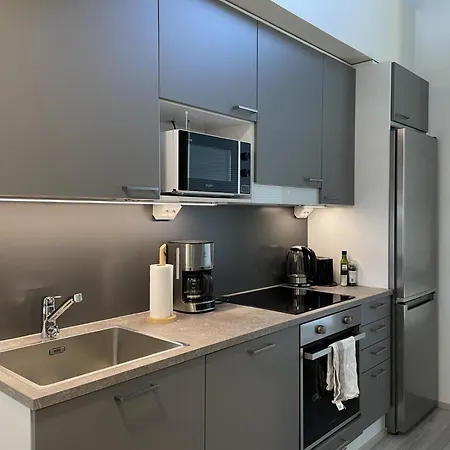 Spacious Loft With Naesijaervi Views Appartement